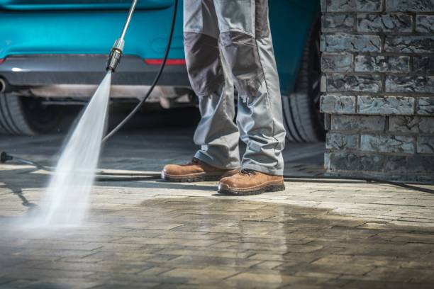 Best Dumpster Area Cleaning  in Brainerd, MN