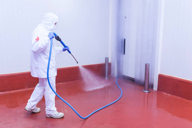 Best Building Exterior Washing  in Brainerd, MN